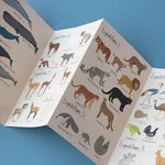 Puzzle/Rätsel ANIMAL PLANET