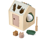 Activity Cube LUCAS
