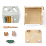 Activity Cube LUCAS