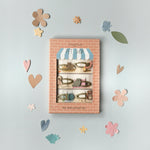 Haarspangen - Geschenkset PETSHOP