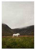 Poster SOLITUDE A4
