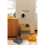 Klappbox WESTON medium 2er Pkg Light Peppermint