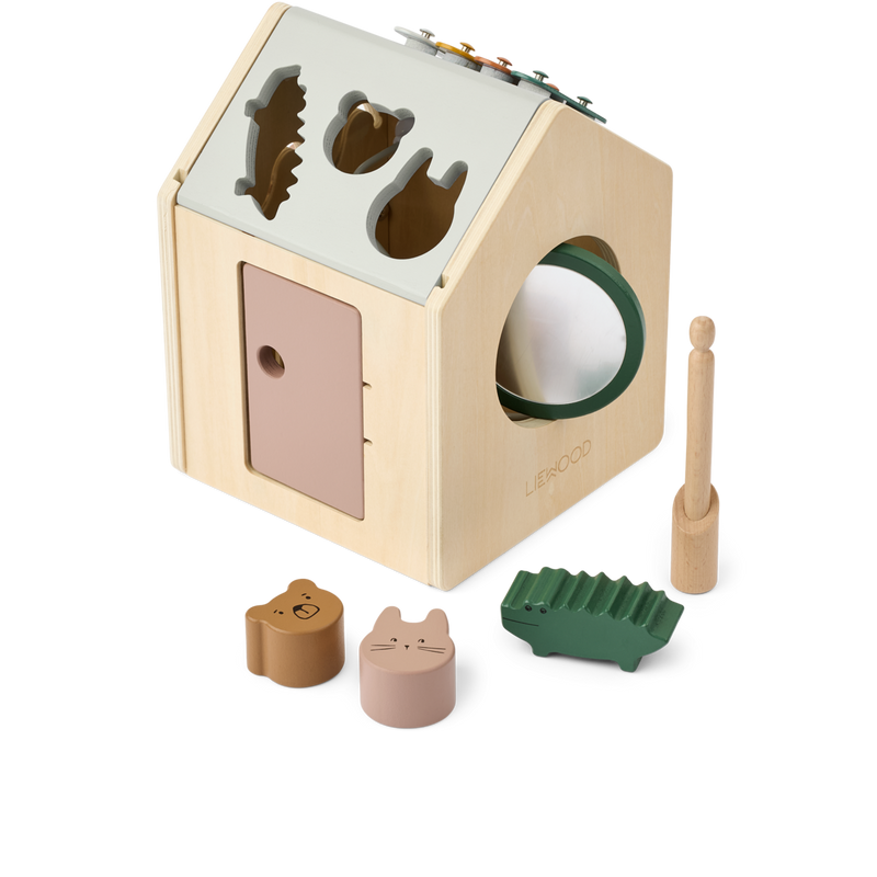 Activity Cube LUCAS