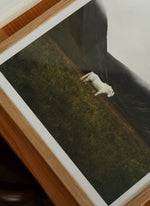 Poster SOLITUDE 30x40 cm