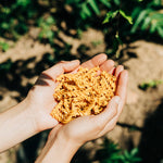 Traditionelle Pasta – Vides (Fusili) aus Kreta