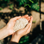 Traditionelle Pasta – Kritharaki (Orzo) aus Kreta