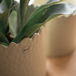 Blumentopf FLOWERY creme large